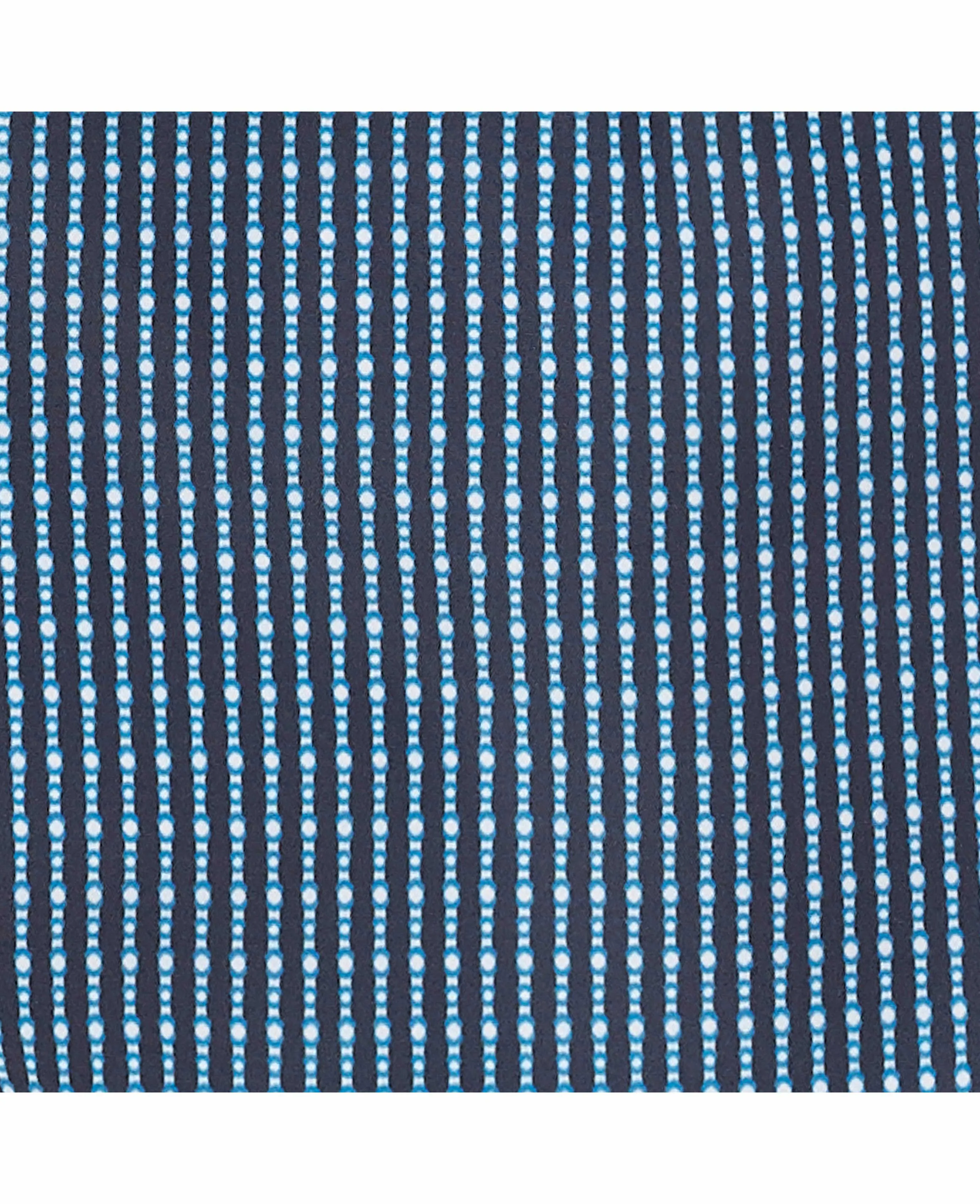 Blue Dotted Stripe Recycled Swim Shorts