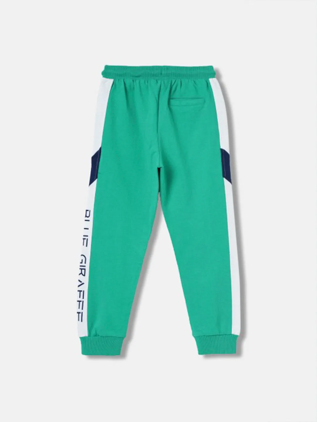 Blue Giraffe Boys Green Color-Blocked Straight Fit Joggers Style Sweatpant