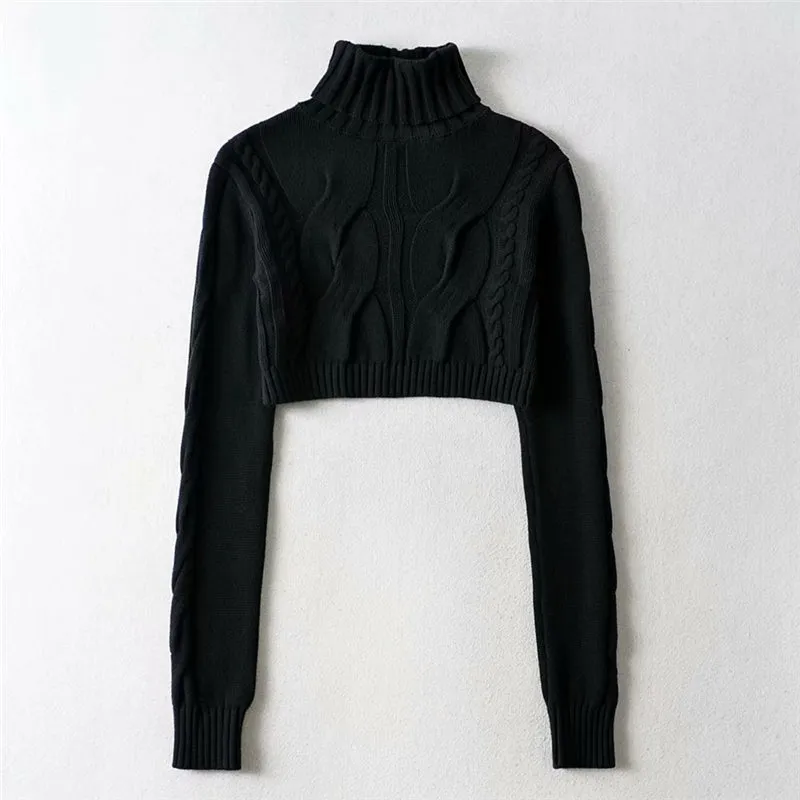 Cropped Sweater Women's Tricot