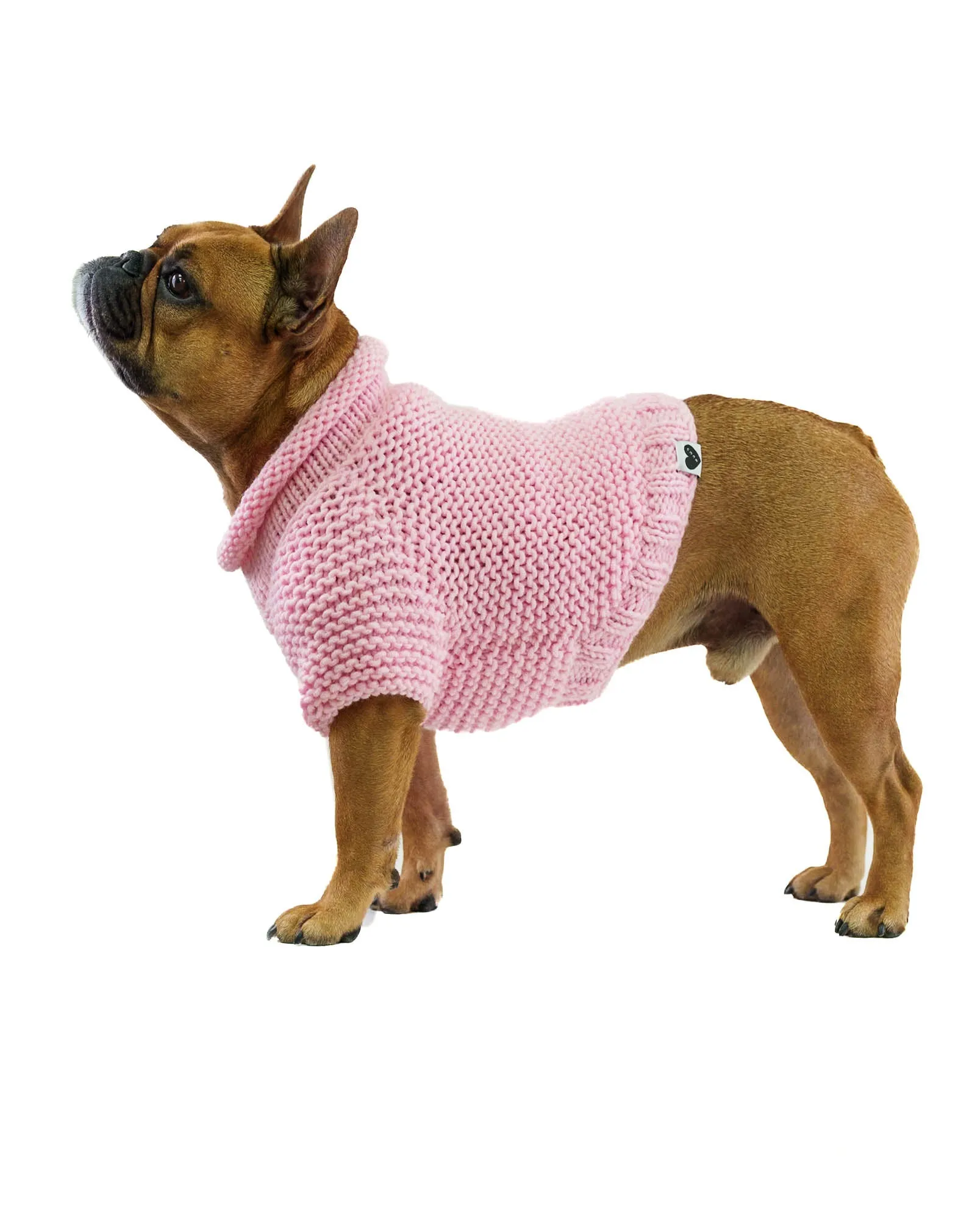 Pet Sweater