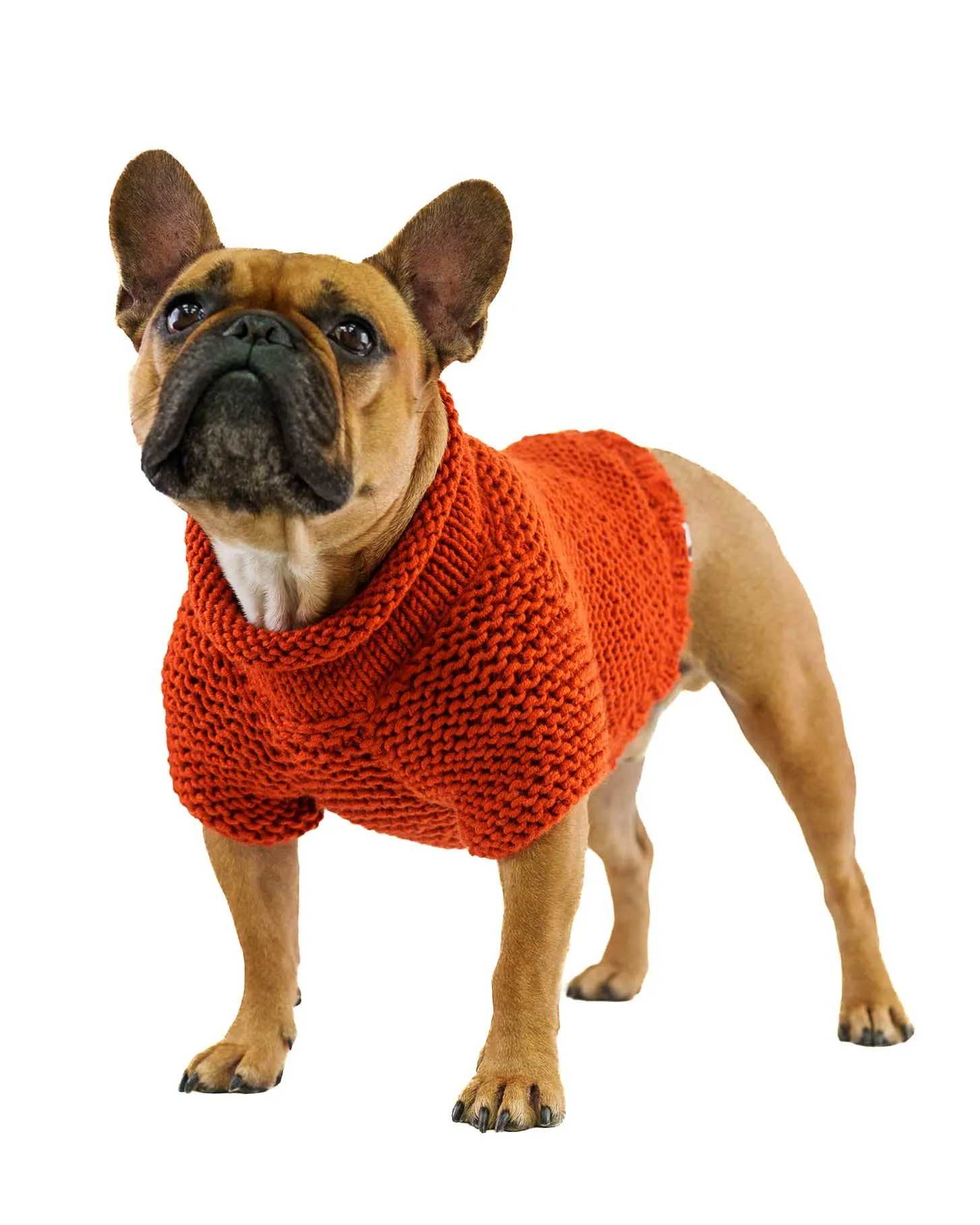 Pet Sweater